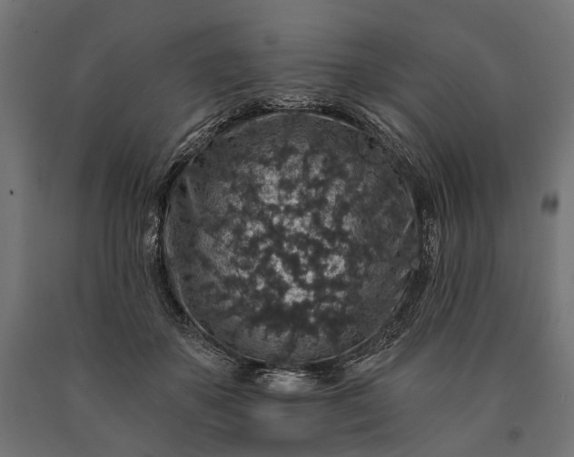 X0000090730507200708031526