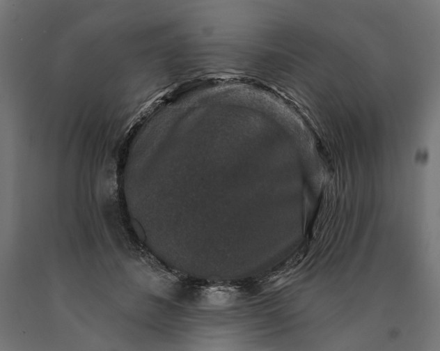 X0000090730508200708031526