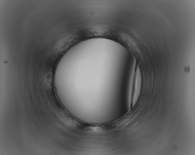 X0000090730509200708031526