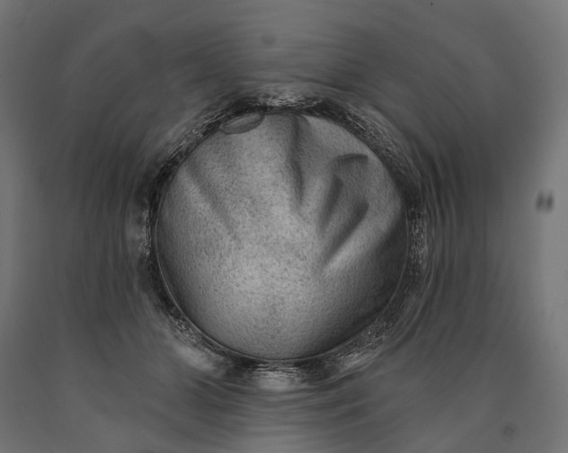 X0000090730510200708031526