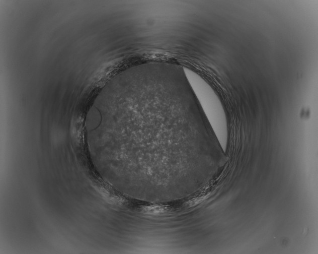 X0000090730511200708031526