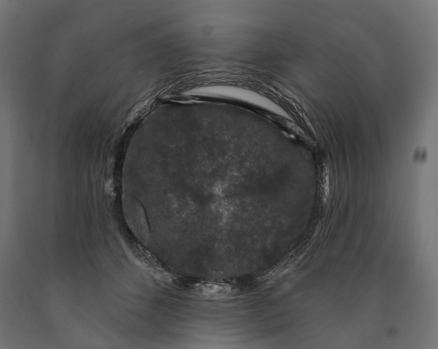 X0000090730512200708031526