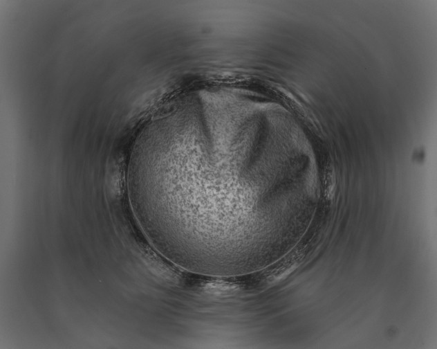 X0000090730515200708031526