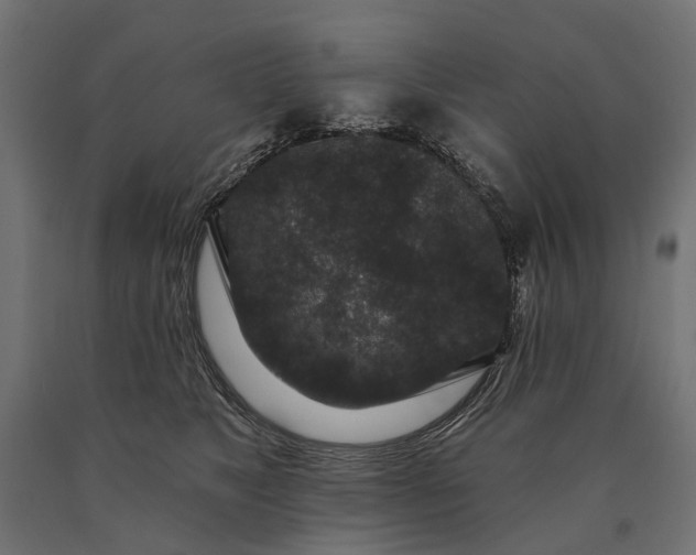 X0000090730517200708031526