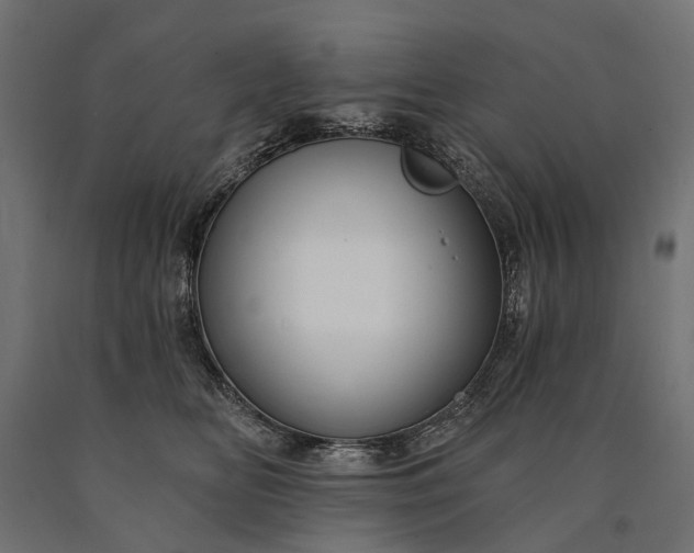 X0000090730518200708031526