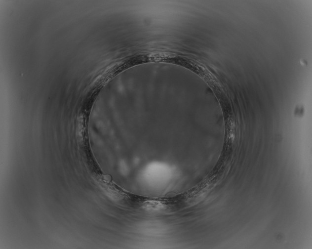 X0000090730519200708031526