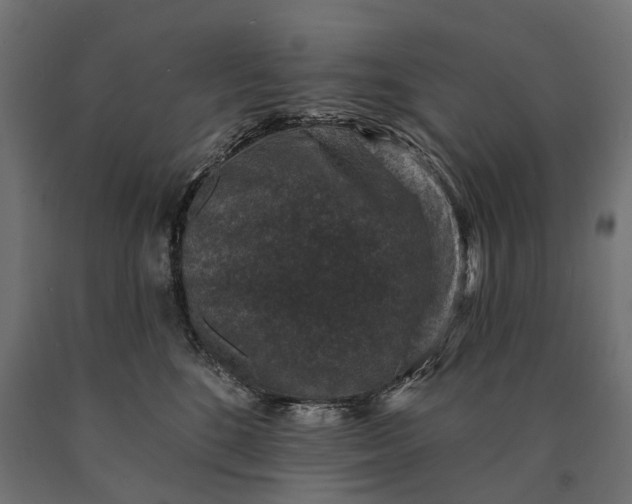 X0000090730520200708031526