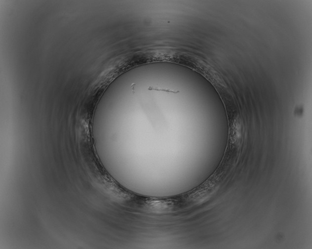 X0000090730522200708031526