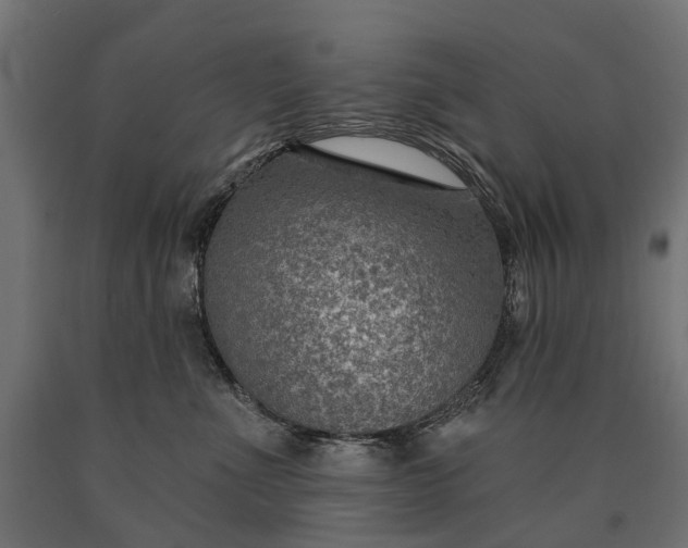 X0000090730523200708031526