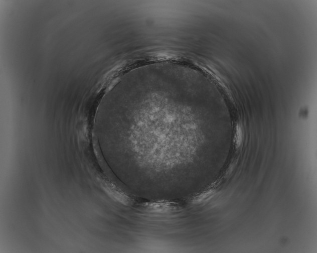 X0000090730524200708031526