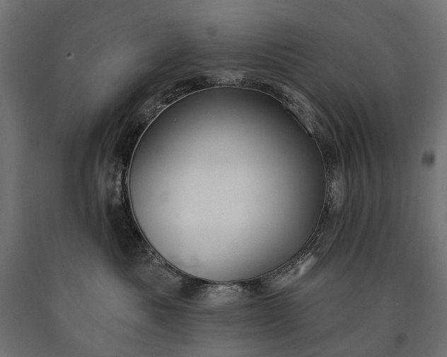 X0000090730525200708031526