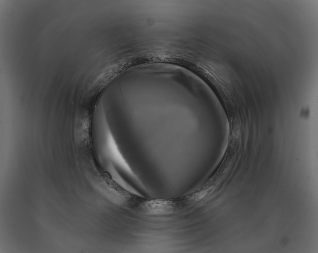 X0000090730526200708031526