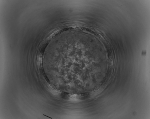 X0000090730527200708031526