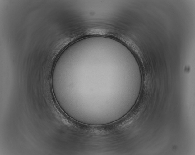 X0000090730529200708031525