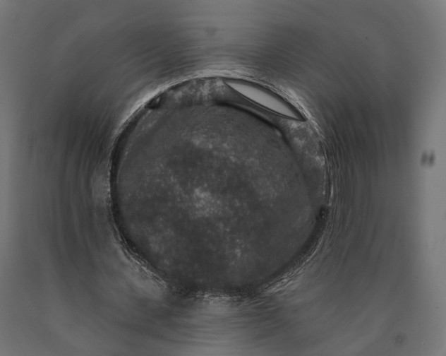 X0000090730531200708031525