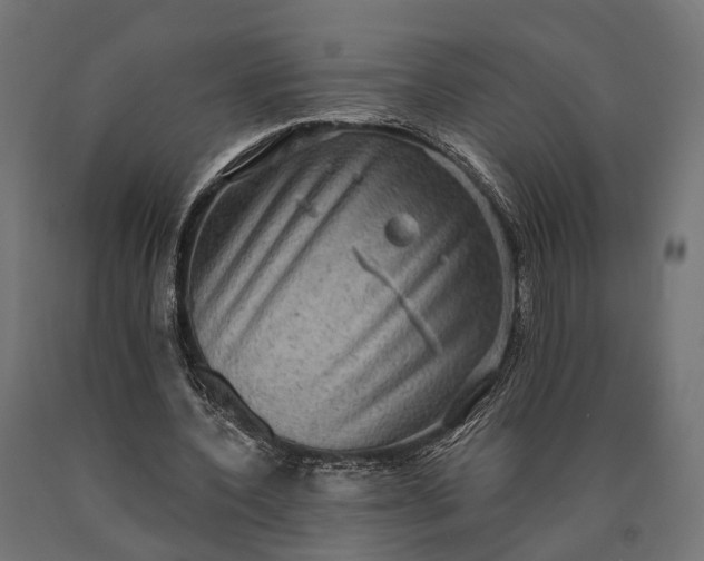 X0000090730532200708031525