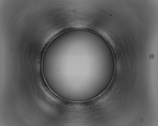 X0000090730533200708031525