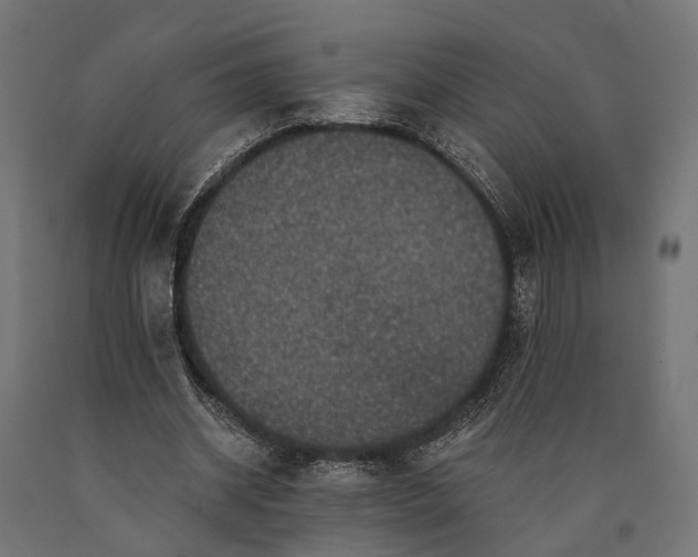 X0000090730534200708031525