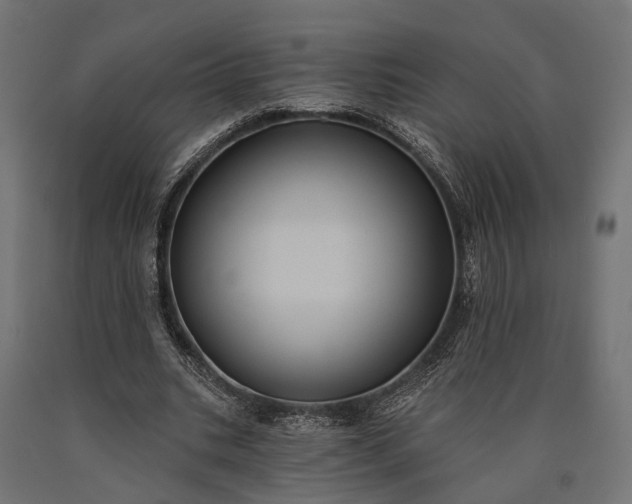 X0000090730535200708031525