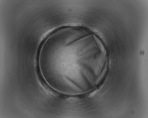 X0000090730536200708031525