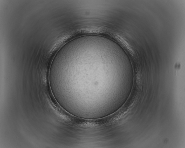 X0000090730537200708031525