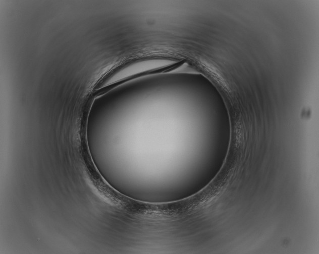 X0000090730538200708031525