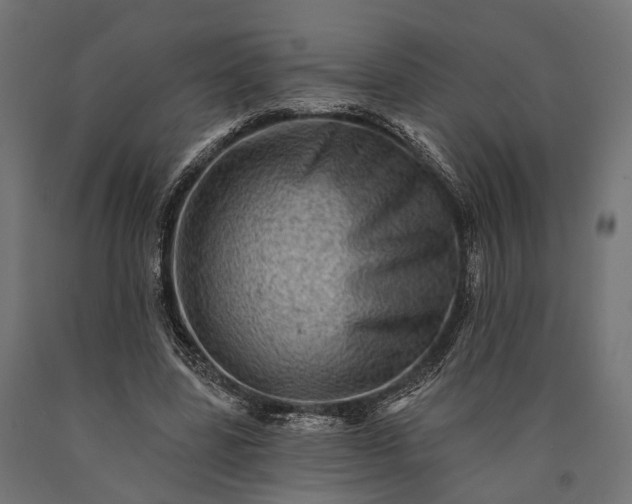 X0000090730539200708031525