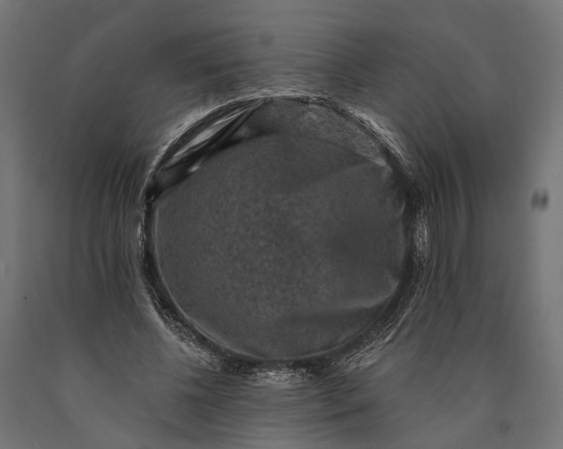 X0000090730540200708031525