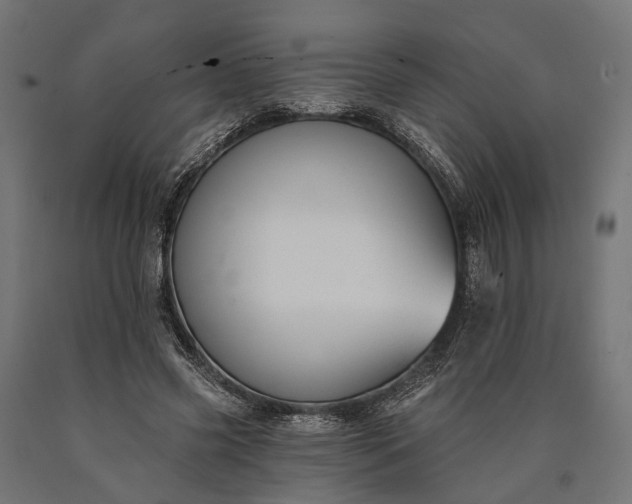 X0000090730541200708031525