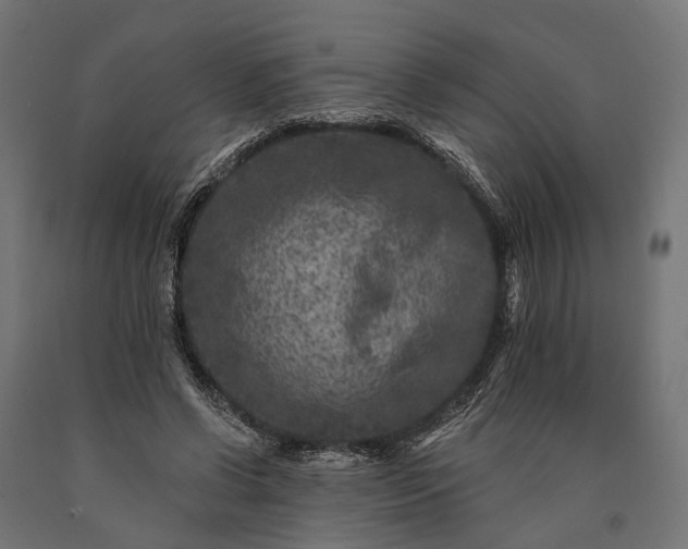 X0000090730542200708031526