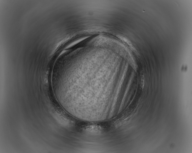 X0000090730543200708031526