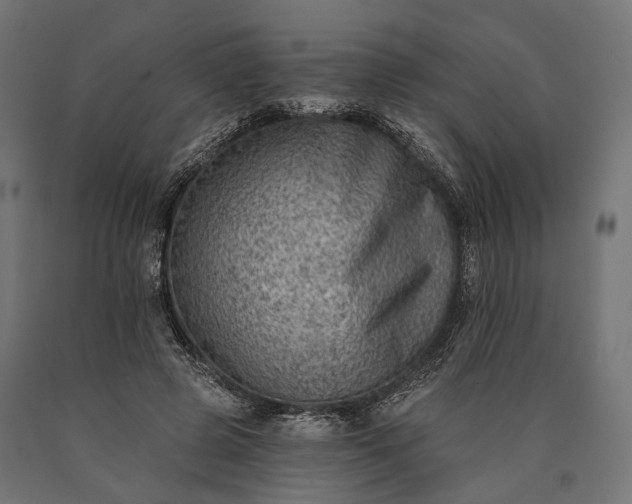 X0000090730545200708031526