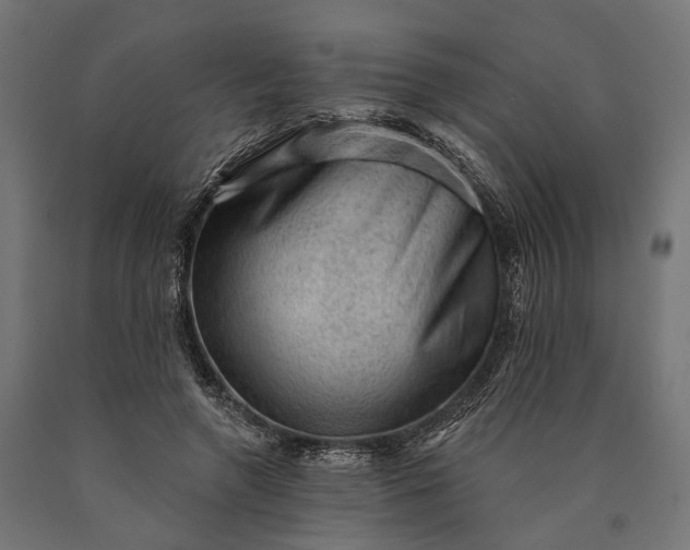 X0000090730546200708031526