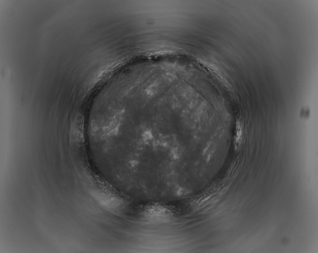 X0000090730547200708031526