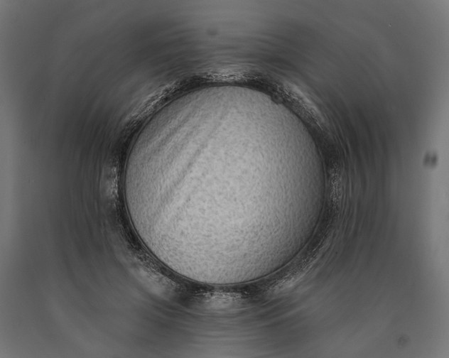 X0000090730549200708031526