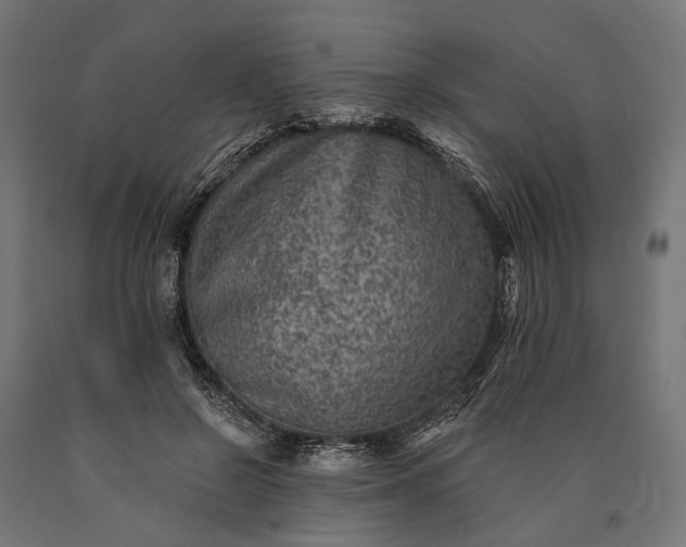 X0000090730550200708031526