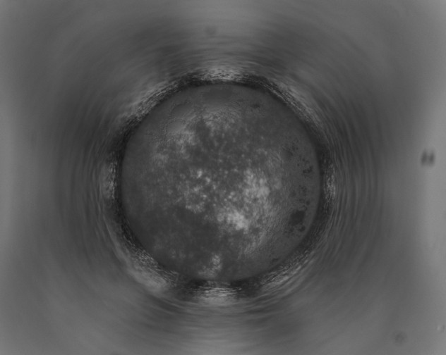 X0000090730551200708031526