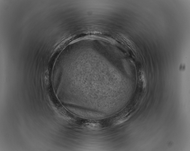 X0000090730552200708031526