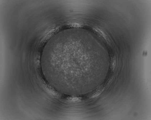 X0000090730553200708031526