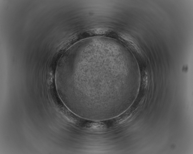 X0000090730555200708031526