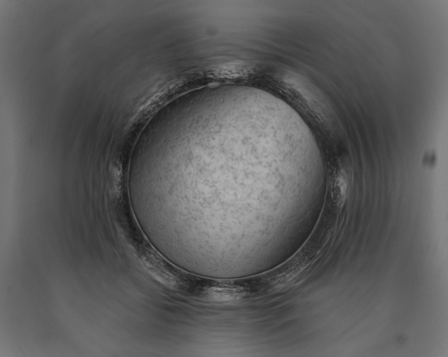 X0000090730556200708031526