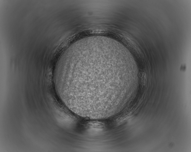 X0000090730557200708031526