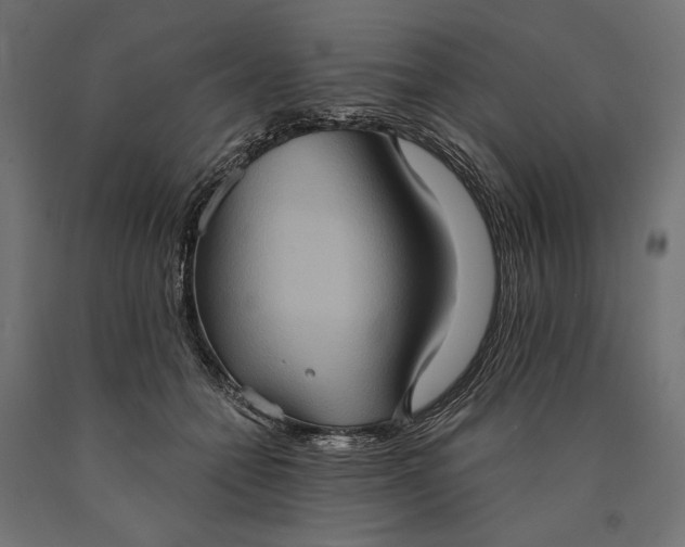 X0000090730558200708031526