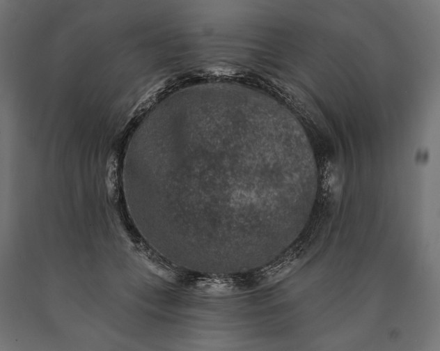 X0000090730559200708031526