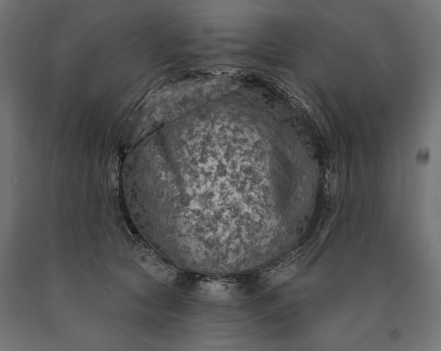 X0000090730561200708031526