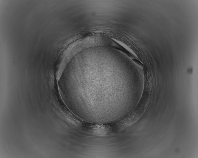 X0000090730562200708031526