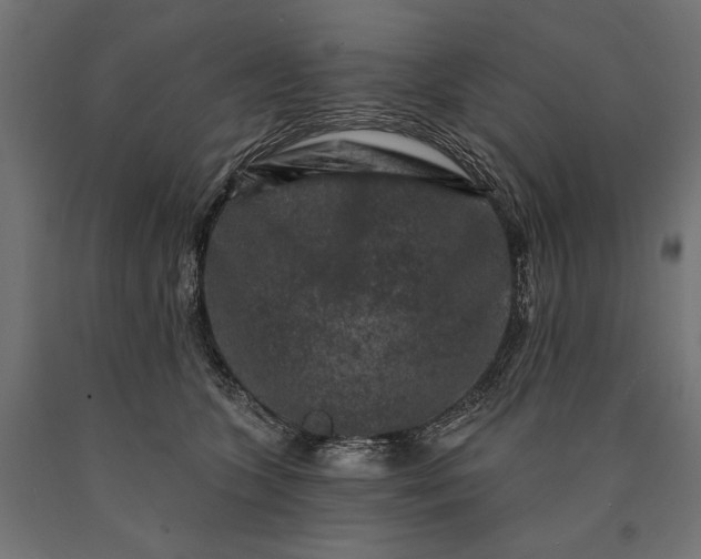 X0000090730563200708031526