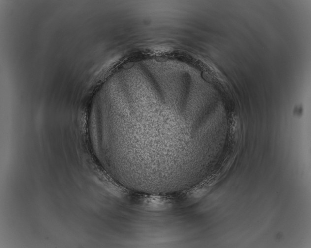 X0000090730565200708031526