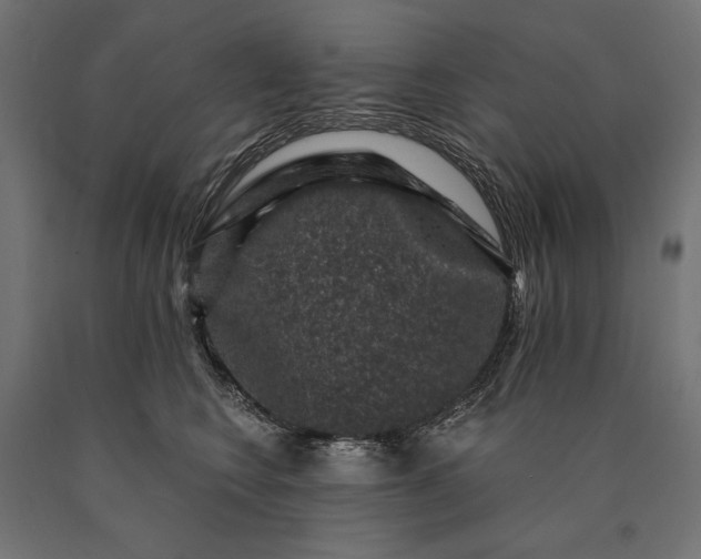 X0000090730566200708031526