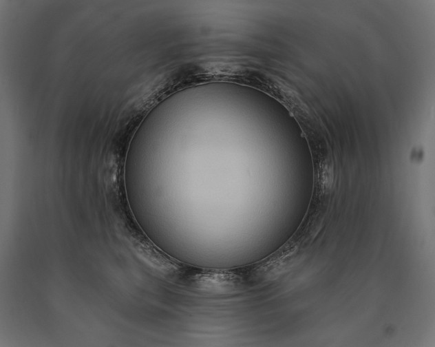 X0000090730567200708031526